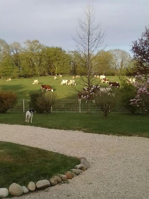 Villa Dependance Pour 1 A 4 Pers Au Calme Dans Propriete Marboz Exterior foto